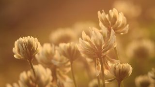 戦略的に目標を達成する方法