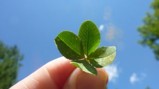 自分の信条の見つけ方